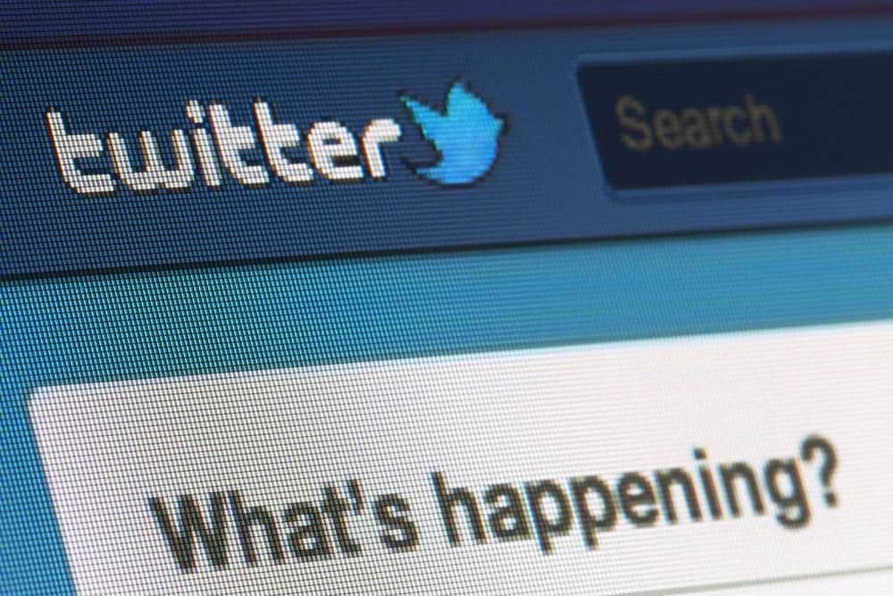 twitters twitters