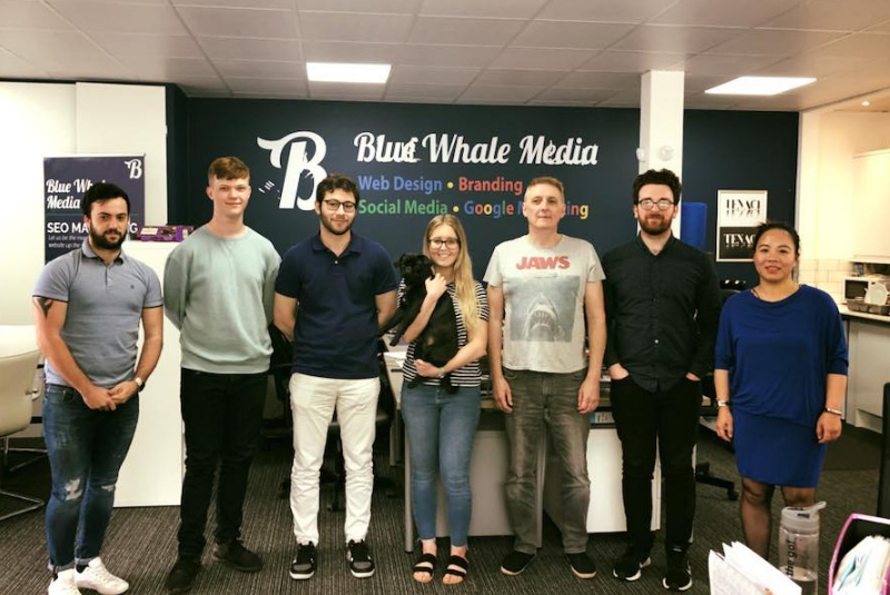 Blue Whale Media team in the office Blue Whale Media team in the office