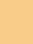 #F9CC89 #F9CC89 Colour
