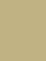 #C0B283 Colour