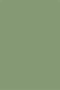 #849974 #849974 Colour