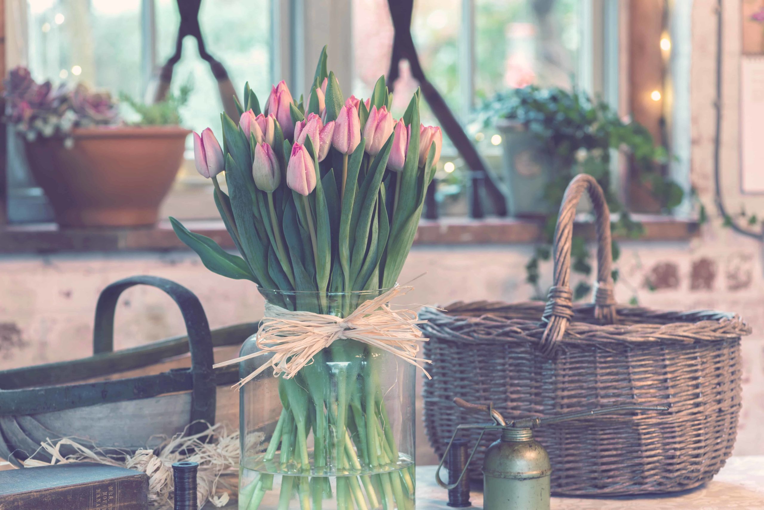 jez-timms-Wup2H1ZumvY-unsplash-scaled Florist Website Colour Palette