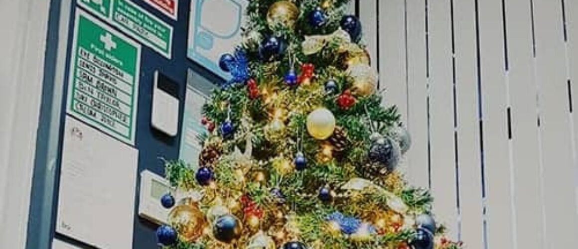 Office Decor Day at Blue Whale Media