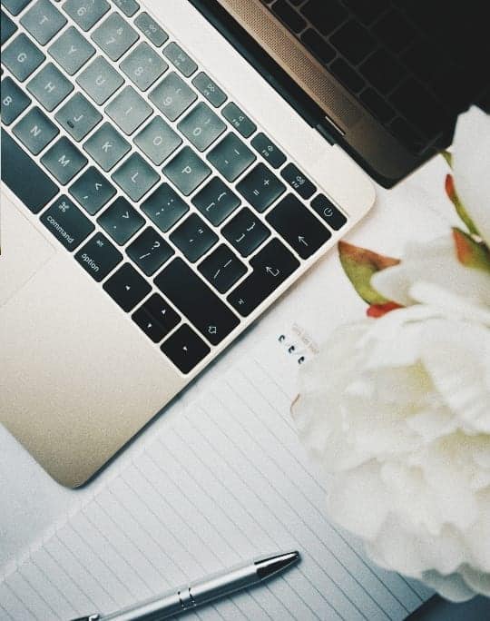 What's In Store Blue Whale Media In 2020 Blue Whale Media