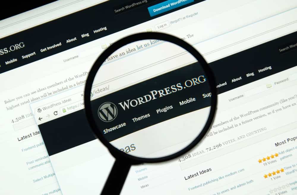 Trends and features of WordPress websites.