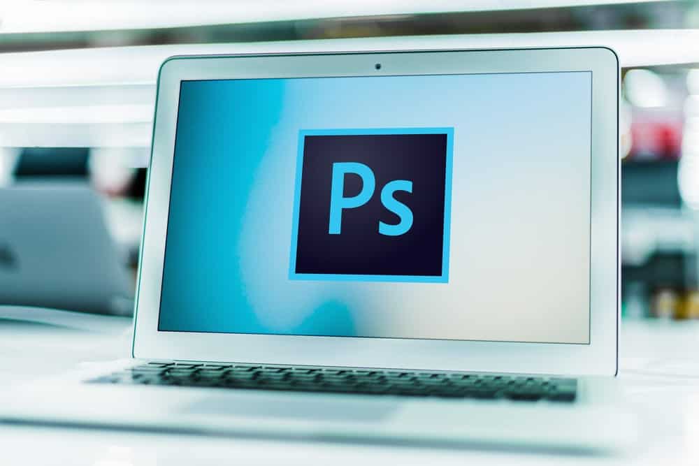 Adobe Photoshop vs. Adobe Illustrator for Graphic Design