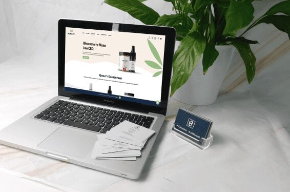 More Life CBD Case study blog about how our graphic designers created bespoke and branded product packaging for More Life.