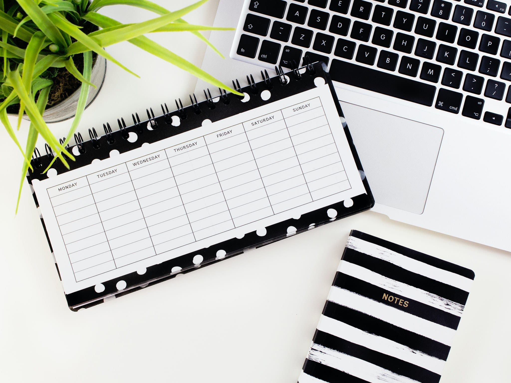 Powerful Benefits of Blogging for your Small Business The powerful benefits of blogging for your small business
