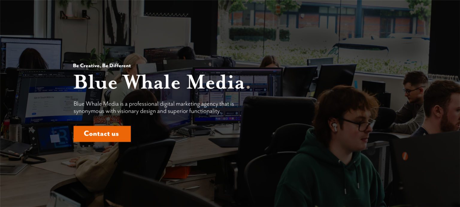 Blue Whale Media Ltd  Design & Development Marketing Agency