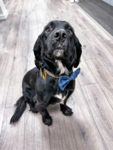 Alfie