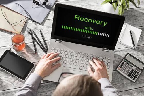 Website backup and data recovery