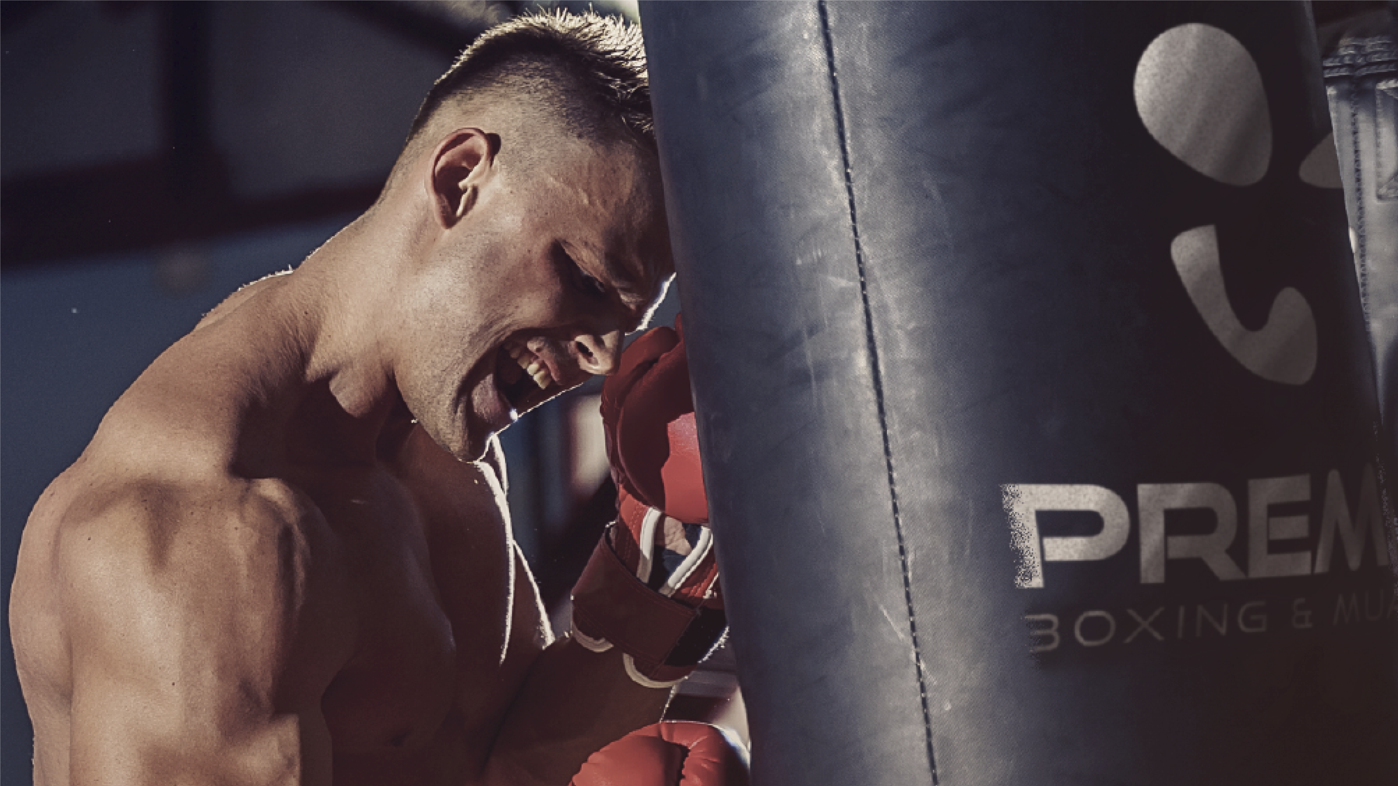 Premier Boxing – Brand Artefacts in Premises