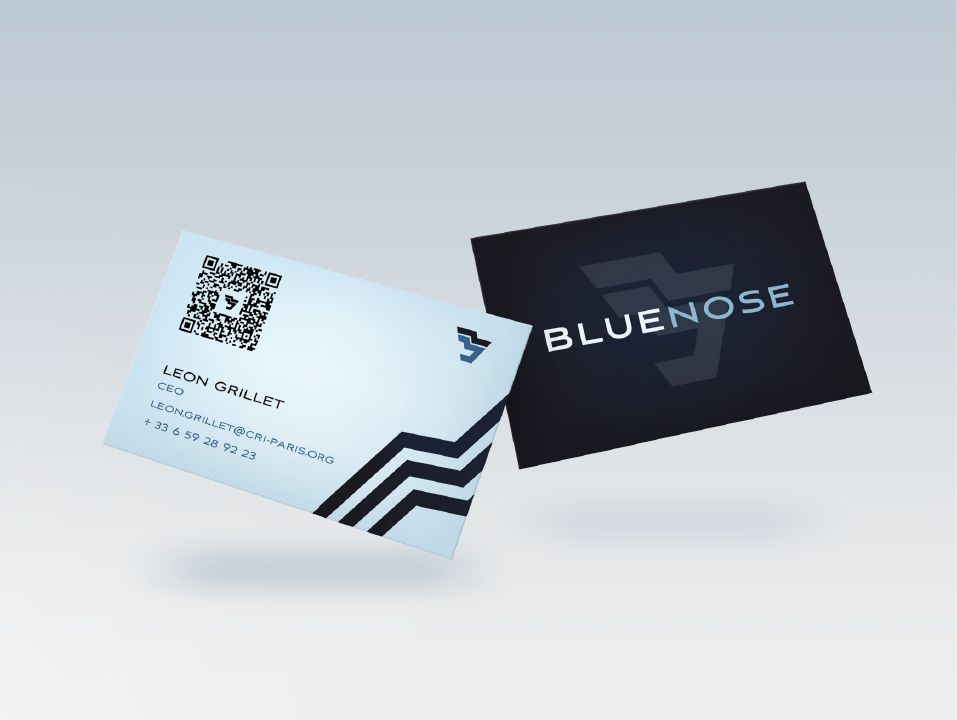 BlueNose Stationary