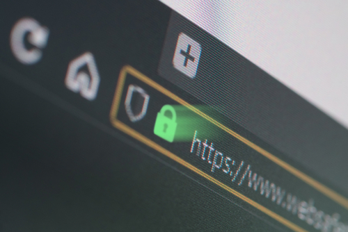 The Importance of Website Security for Your Business The Importance of Website Security for Your Business